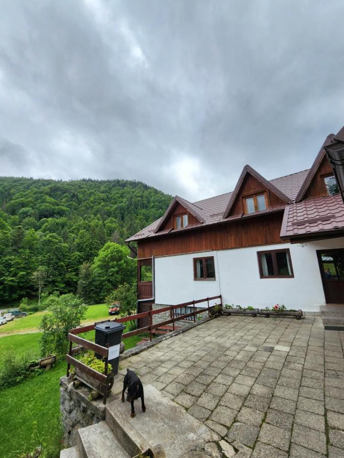 Pensiunea Susman Rachitele Exterior photo