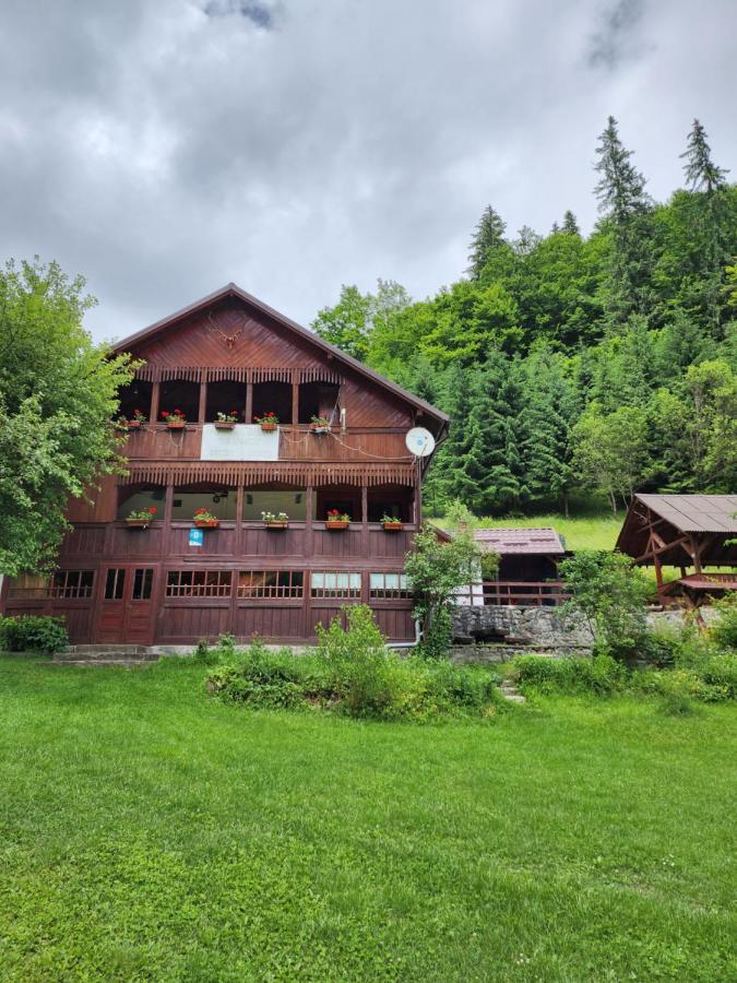 Pensiunea Susman Rachitele Exterior photo